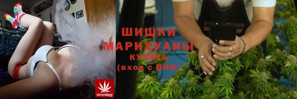 дмт Арсеньев