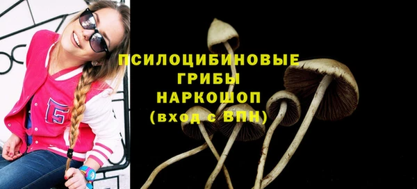 jwh Аркадак