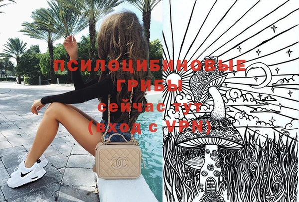 jwh Аркадак