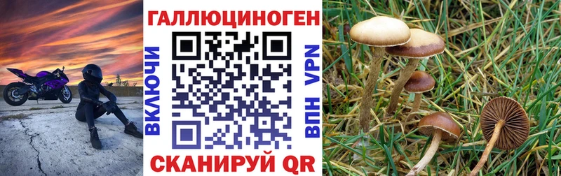 Псилоцибиновые грибы Cubensis  закладка  Суровикино 